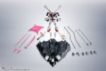 [Pre-order] BANDAI Robot Spirits Crossbone Gundam X1/X1 Evolution Spec